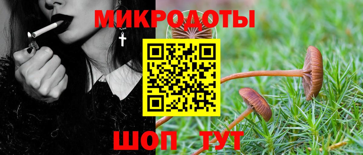 Ефремов  купить наркоту  Вход с VPN  Псилоцибиновые грибы ЛСД  Галлюциногенные грибы GOLDEN TEACHER 